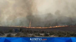 Kebakaran Bromo Tewaskan 2 ASN, BKN Beri Santunan hingga Beasiswa