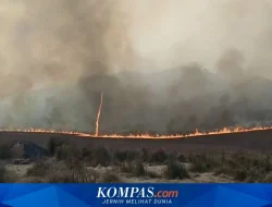 Kebakaran Bromo Tewaskan 2 ASN, BKN Beri Santunan hingga Beasiswa