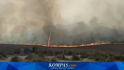 Kebakaran Bromo Tewaskan 2 ASN, BKN Beri Santunan hingga Beasiswa