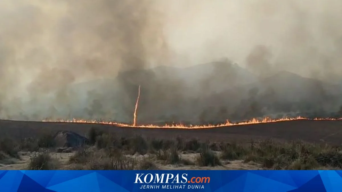 Kebakaran Bromo Tewaskan 2 ASN, BKN Beri Santunan hingga Beasiswa