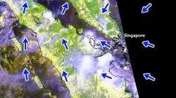 NEA Singapura Layangkan Notis Haze ke 3 Perusahaan Tambahan, Total Kini 10 Entitas Indonesia