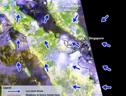 NEA Singapura Layangkan Notis Haze ke 3 Perusahaan Tambahan, Total Kini 10 Entitas Indonesia