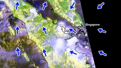 NEA Singapura Layangkan Notis Haze ke 3 Perusahaan Tambahan, Total Kini 10 Entitas Indonesia