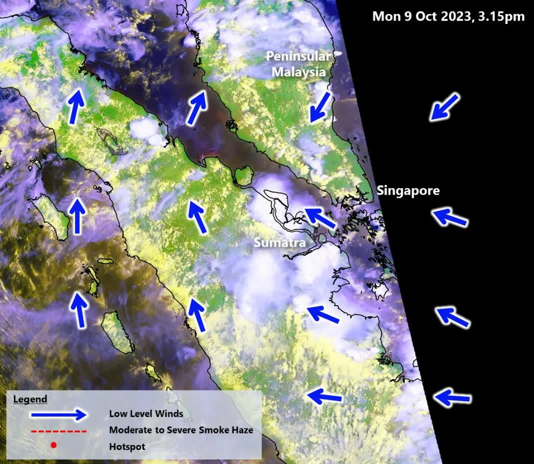 NEA Singapura Layangkan Notis Haze ke 3 Perusahaan Tambahan, Total Kini 10 Entitas Indonesia