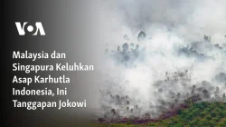 Perusahaan Malaysia dan Singapura Diselidiki soal Karhutla, Polusi Singapura Terburuk Sejak 2015
