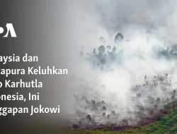 Perusahaan Malaysia dan Singapura Diselidiki soal Karhutla, Polusi Singapura Terburuk Sejak 2015