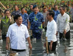 Prabowo Tunjuk Satyawan Pudyatmoko Pimpin Badan Pengelolaan Gambut dan Mangrove Nasional