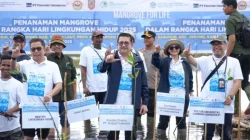 Program Jaminan Kesehatan JKN Diperluas, Pekerja Penanam Mangrove hingga RS Kapal Jadi Sorotan