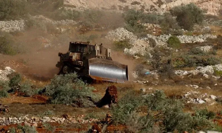 Rabi Israel Izinkan Pemukim Yahudi Curi Panen Zaitun Warga Palestina