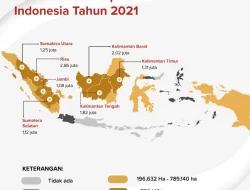 Radja Nainggolan Sesal Tak Bela Timnas Indonesia, Kini Kagum Fanatisme Suporter Garuda
