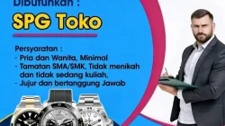 Rolex Makin Sulit Didapat, Lowongan Kerja AS Lesu Jadi Sorotan