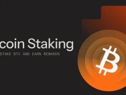 Stacks Kunci 735 BTC di Q3 2026, Staking Bitcoin Makin Diminati