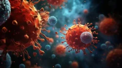 Virus Shamonda Terdeteksi pada Manusia untuk Pertama Kali, Pasien di Prancis Meninggal