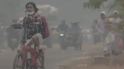 Warga Malaysia Boikot Produk Indonesia Buntut Asap Karhutla, Pakar Ingatkan Dampak Bilateral
