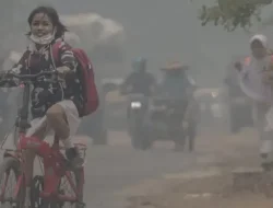 Warga Malaysia Boikot Produk Indonesia Buntut Asap Karhutla, Pakar Ingatkan Dampak Bilateral